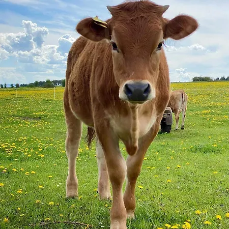 Hébergement de vacances Holzhaus Lehrer Laempel *