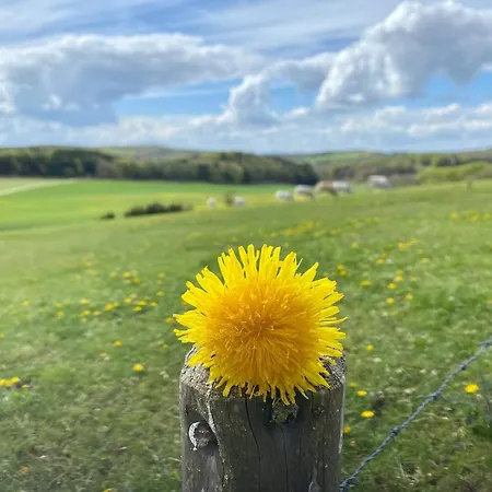 Holzhaus Lehrer Laempel * Esch (Rhineland-Palatinate)