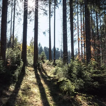 Σπίτι διακοπών Holzhaus Lehrer Laempel Mit Aussensauna
