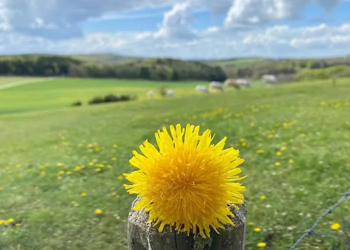 Holzhaus Lehrer Laempel * Esch (Rhineland-Palatinate)